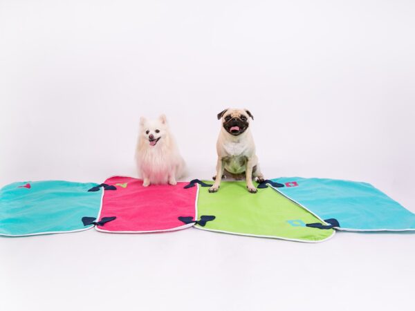 Tapete lavável: Tudo que você precisa saber para escolher o melhor