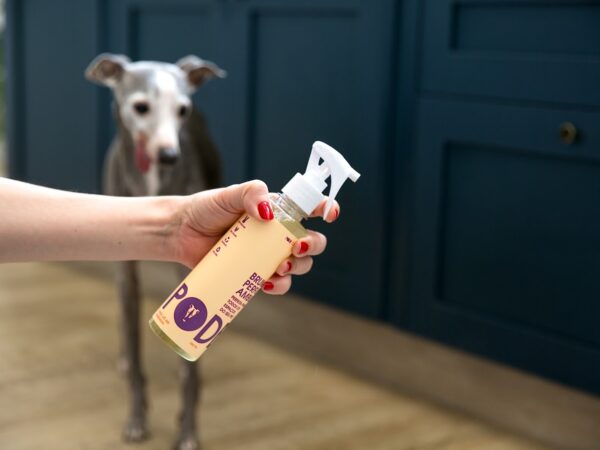 Mini bruma: praticidade e frescor em sua bolsa