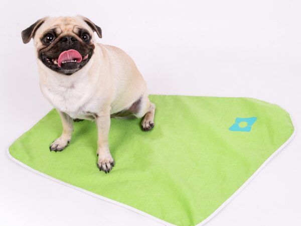 Qual é o Melhor Tapete Higiênico Lavável para Cachorro? Descubra as Opções!