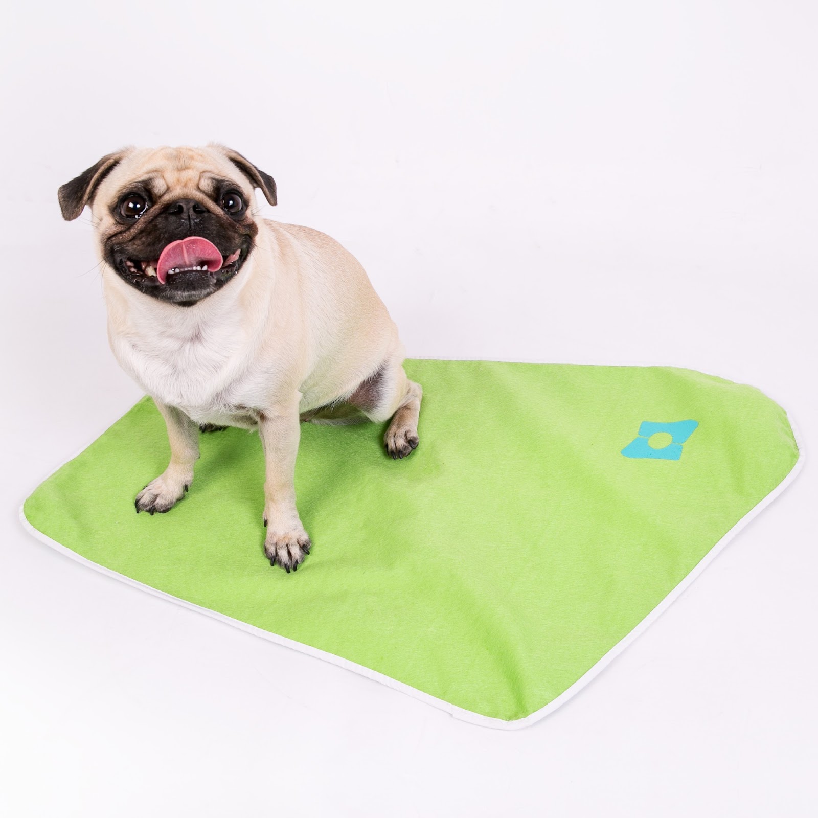 Qual é o Melhor Tapete Higiênico Lavável para Cachorro? Descubra as Opções!