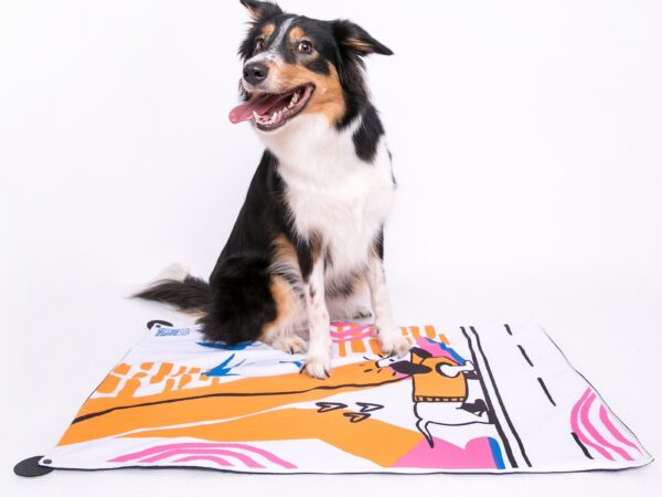 Você conhece os benefícios do tapete barto pet?