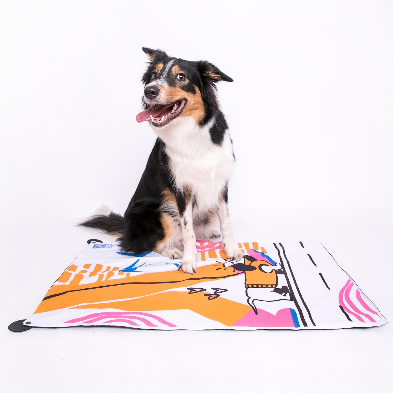 Você conhece os benefícios do tapete barto pet?