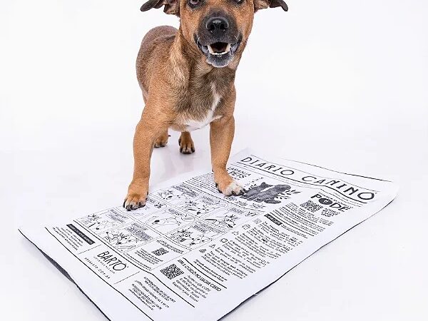 Por que o tapete higiênico lavável Bartô é essencial para o seu pet?