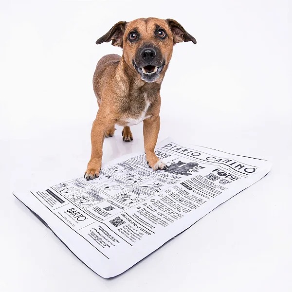 Por que o tapete higiênico lavável Bartô é essencial para o seu pet?