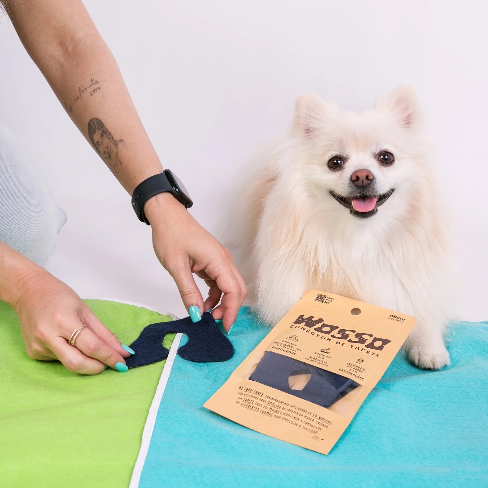 Por Que Usar Tapetes Higiênicos para Pets? Um Guia Completo